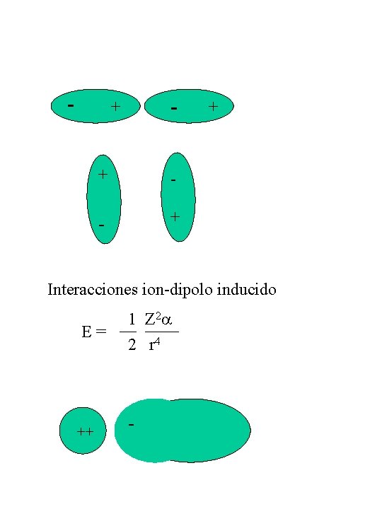 - - + + Interacciones ion-dipolo inducido 2 1 Z E = __ ____