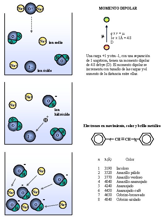 Na+ O 2 - Na+ MOMENTO DIPOLAR + m H Na+ ion sodio H