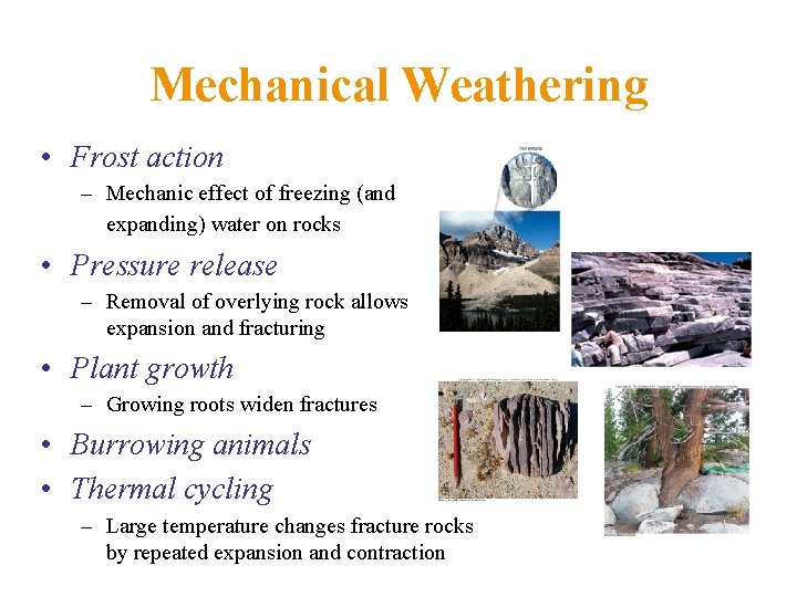 Mechanical Weathering • Frost action – Mechanic effect of freezing (and expanding) water on
