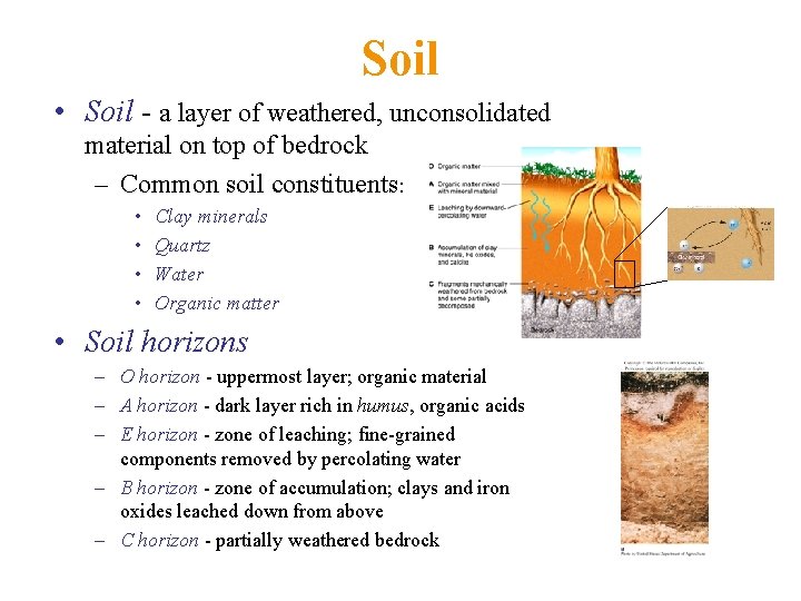 Soil • Soil - a layer of weathered, unconsolidated material on top of bedrock