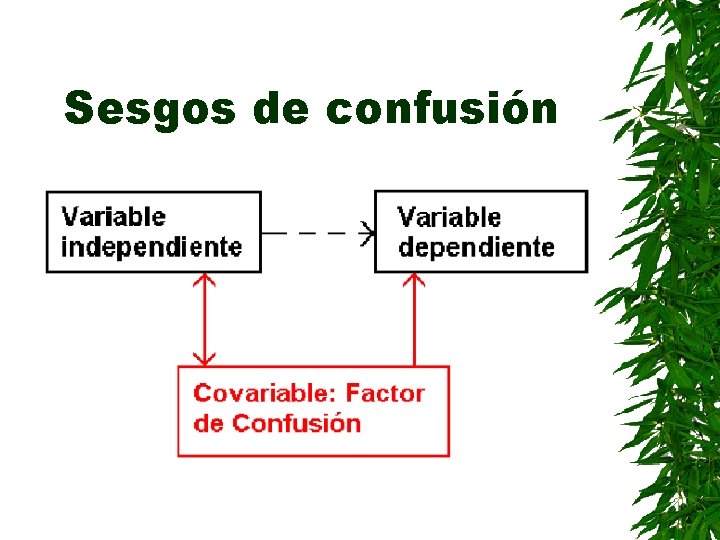 Sesgos de confusión 