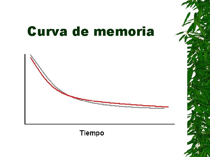 Curva de memoria 