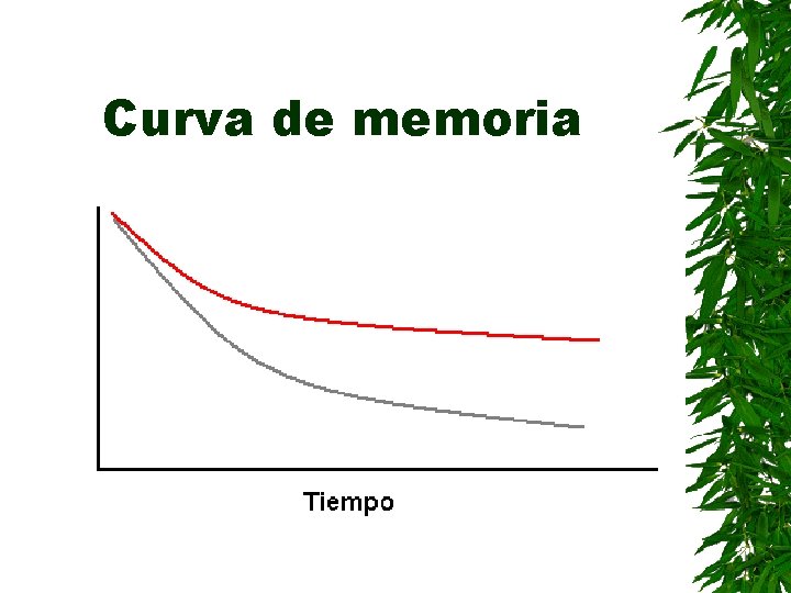 Curva de memoria 