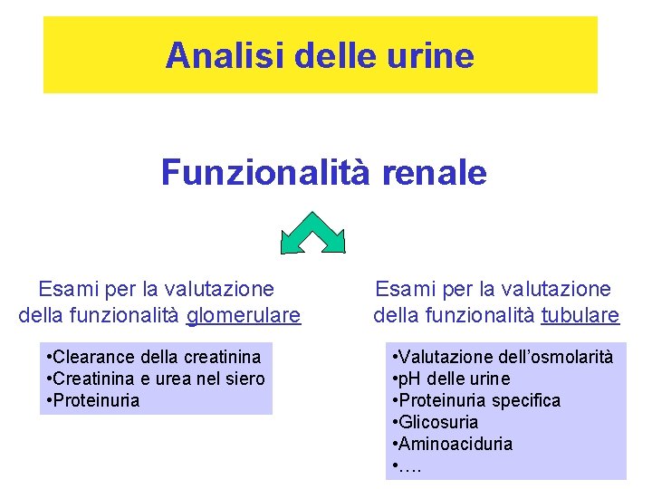 Analisi delle urine Funzionalità renale Esami per la valutazione della funzionalità glomerulare • Clearance