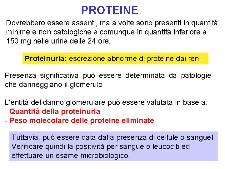 PROTEINE Dovrebbero essere assenti, ma a volte sono presenti in quantità minime e non