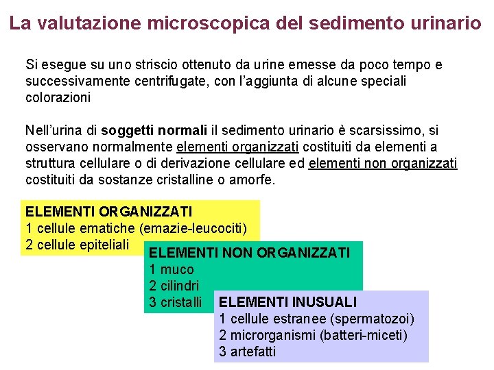 La valutazione microscopica del sedimento urinario Si esegue su uno striscio ottenuto da urine