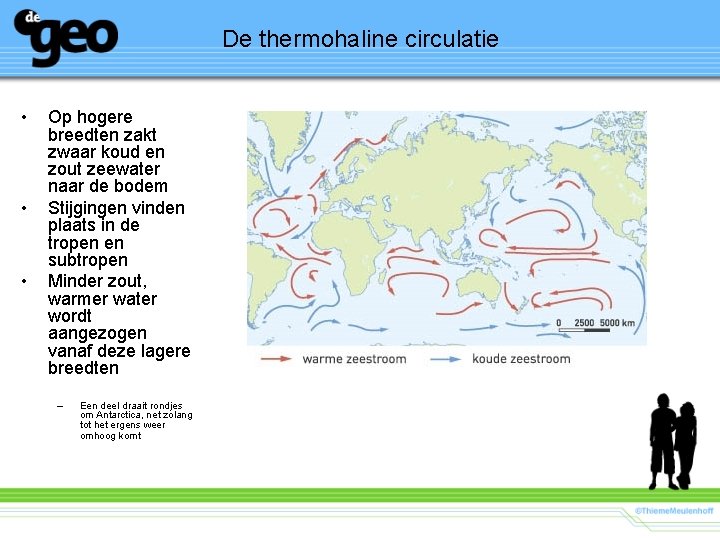 De thermohaline circulatie • • • Op hogere breedten zakt zwaar koud en zout