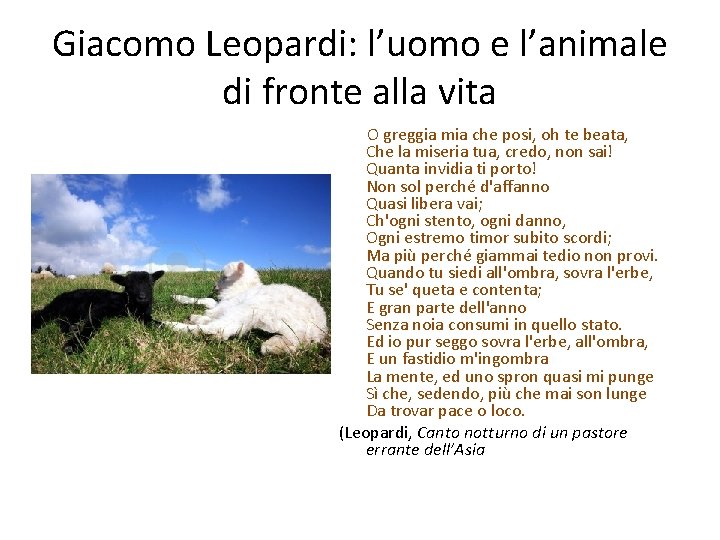 Giacomo Leopardi: l’uomo e l’animale di fronte alla vita O greggia mia che posi,