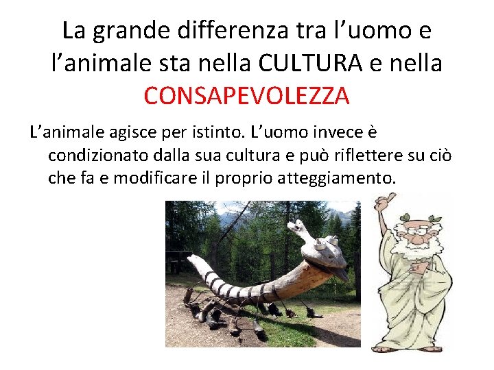 La grande differenza tra l’uomo e l’animale sta nella CULTURA e nella CONSAPEVOLEZZA L’animale