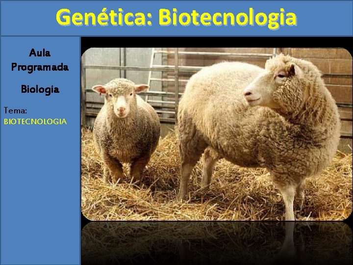 Genética: Biotecnologia Aula Programada Biologia Tema: BIOTECNOLOGIA 