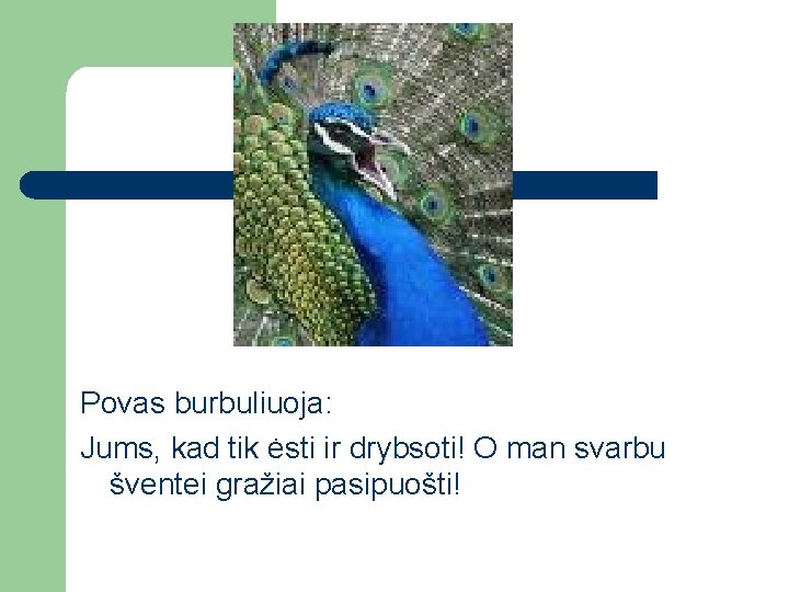 Povas burbuliuoja: Jums, kad tik ėsti ir drybsoti! O man svarbu šventei gražiai pasipuošti!