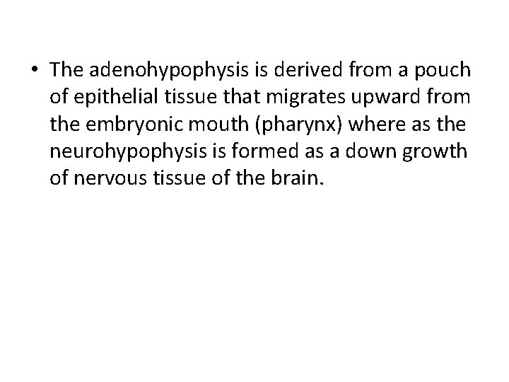  • The adenohypophysis is derived from a pouch of epithelial tissue that migrates