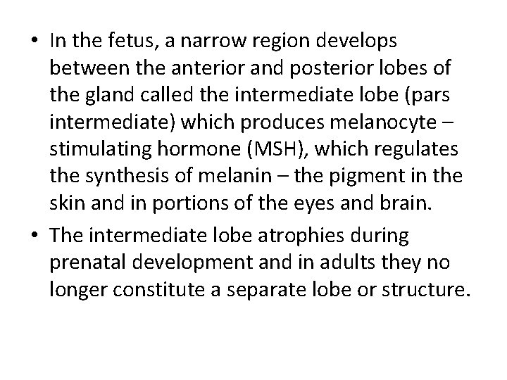  • In the fetus, a narrow region develops between the anterior and posterior
