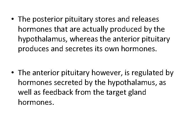  • The posterior pituitary stores and releases hormones that are actually produced by