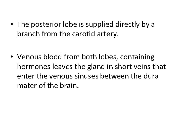  • The posterior lobe is supplied directly by a branch from the carotid