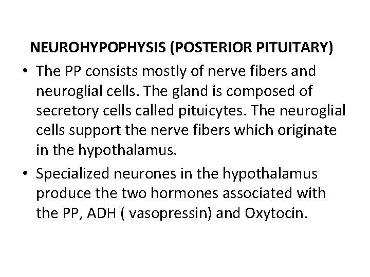  NEUROHYPOPHYSIS (POSTERIOR PITUITARY) • The PP consists mostly of nerve fibers and neuroglial