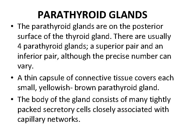 PARATHYROID GLANDS • The parathyroid glands are on the posterior surface of the thyroid