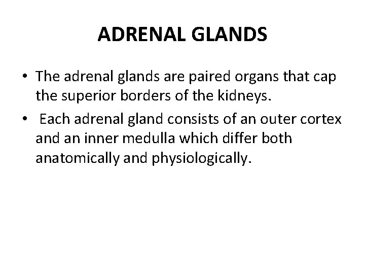 ADRENAL GLANDS • The adrenal glands are paired organs that cap the superior borders