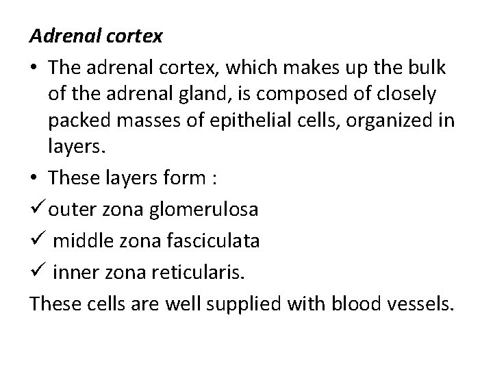 Adrenal cortex • The adrenal cortex, which makes up the bulk of the adrenal