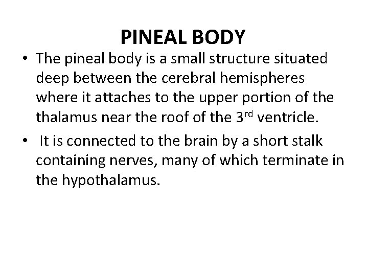 PINEAL BODY • The pineal body is a small structure situated deep between the