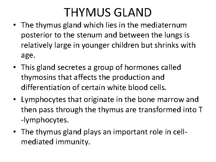 THYMUS GLAND • The thymus gland which lies in the mediaternum posterior to the
