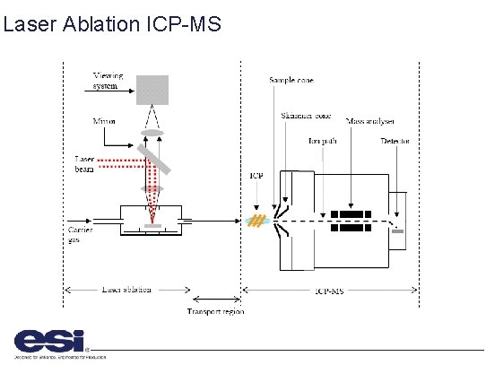 Laser Ablation ICP-MS 