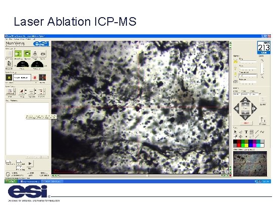 Laser Ablation ICP-MS 