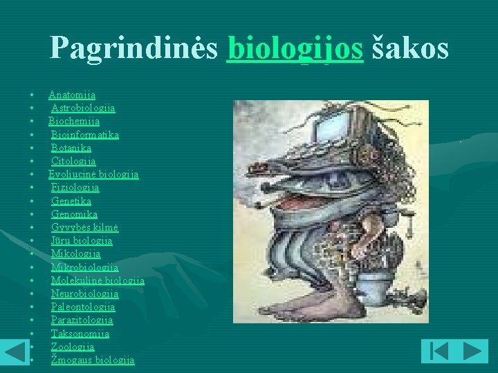 Pagrindinės biologijos šakos • • • • • • Anatomija Astrobiologija Biochemija Bioinformatika Botanika