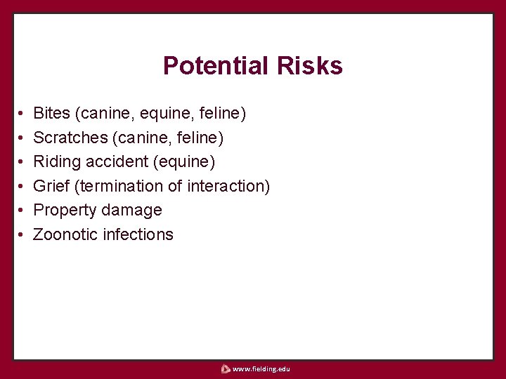 Potential Risks • • • Bites (canine, equine, feline) Scratches (canine, feline) Riding accident