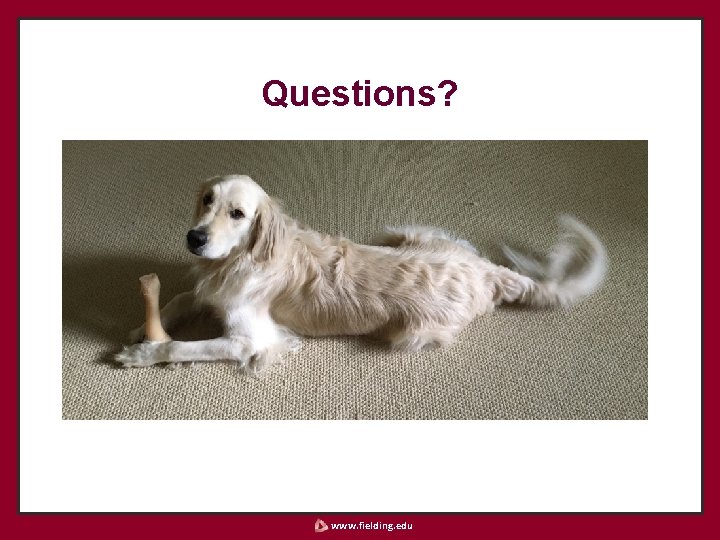 Questions? www. fielding. edu 