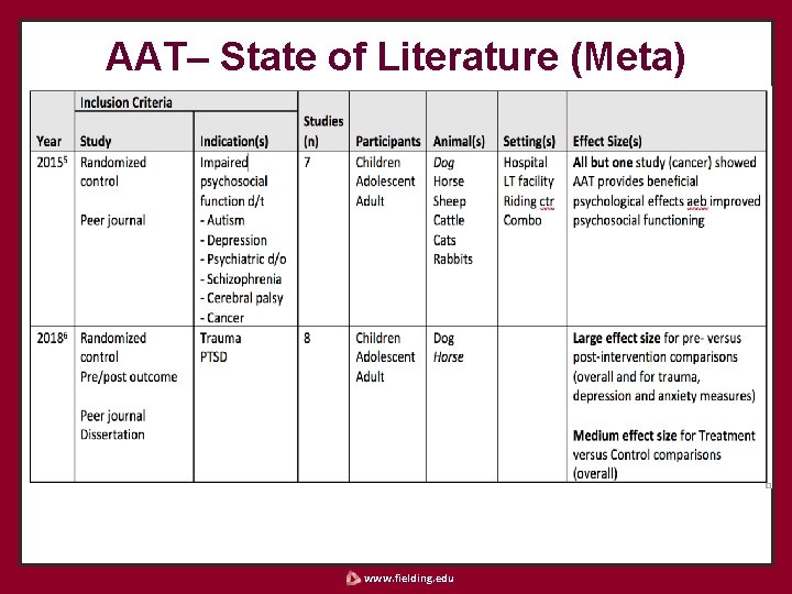 AAT– State of Literature (Meta) www. fielding. edu 