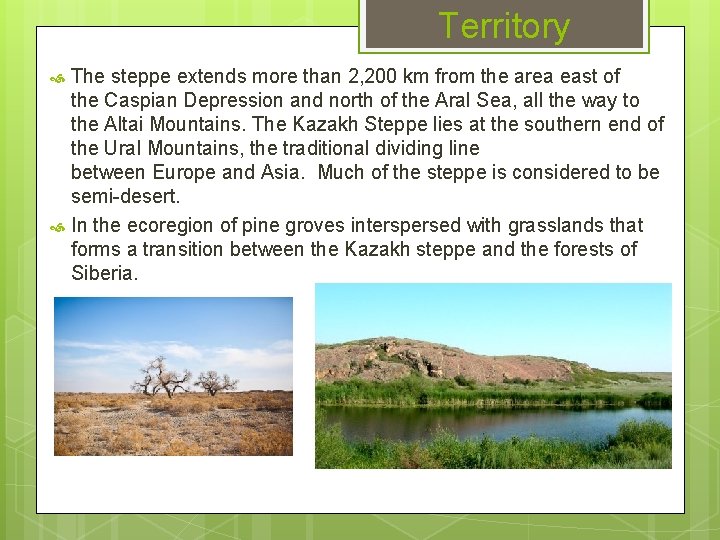 Territory The steppe extends more than 2, 200 km from the area east of