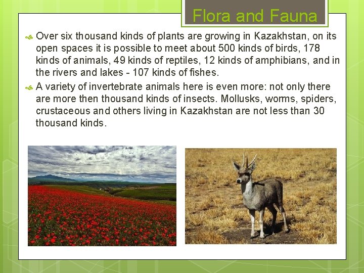 Flora and Fauna Over six thousand kinds of plants are growing in Kazakhstan, on