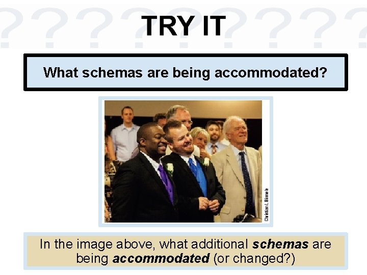 What schemas are being accommodated? In the image above, what additional schemas are being