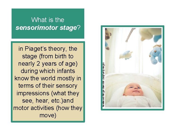 What is the sensorimotor stage? in Piaget’s theory, the stage (from birth to nearly