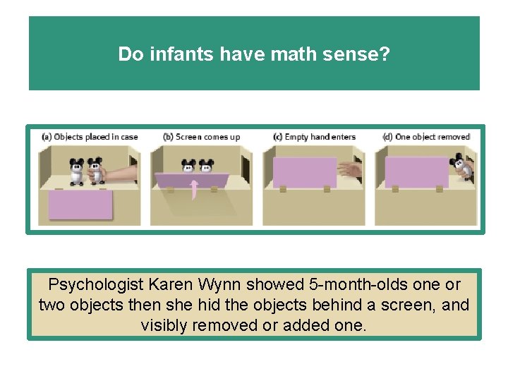 Do infants have math sense? Psychologist Karen Wynn showed 5 -month-olds one or two