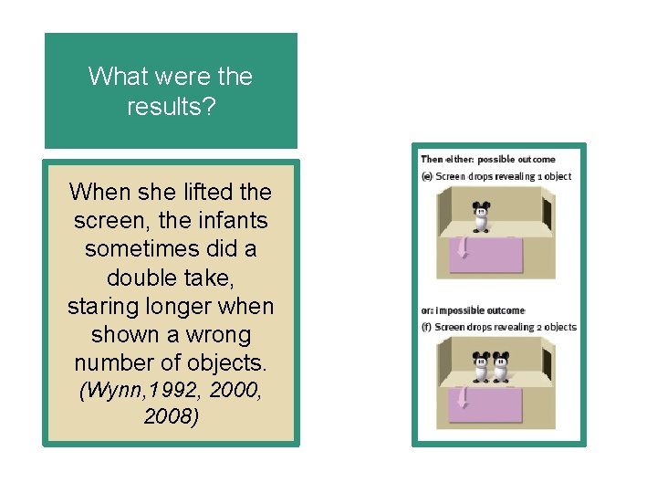 What were the results? When she lifted the screen, the infants sometimes did a