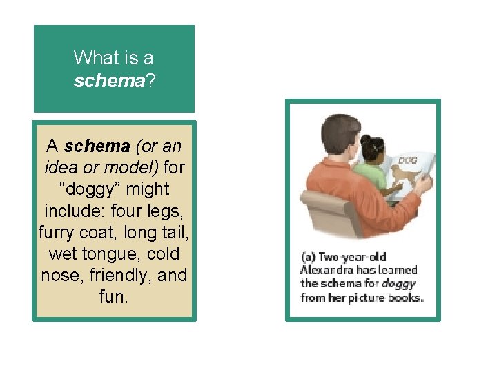 What is a schema? A schema (or an idea or model) for “doggy” might