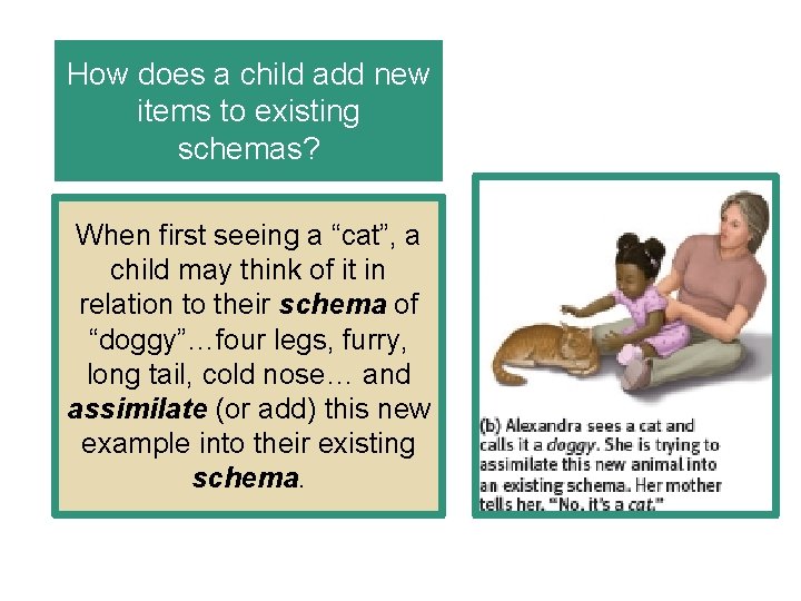 How does a child add new items to existing schemas? When first seeing a