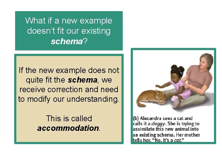 What if a new example doesn’t fit our existing schema? If the new example