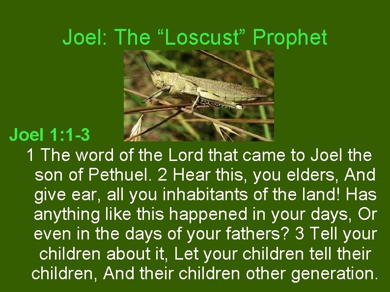 Joel: The “Loscust” Prophet Joel 1: 1 -3 1 The word of the Lord