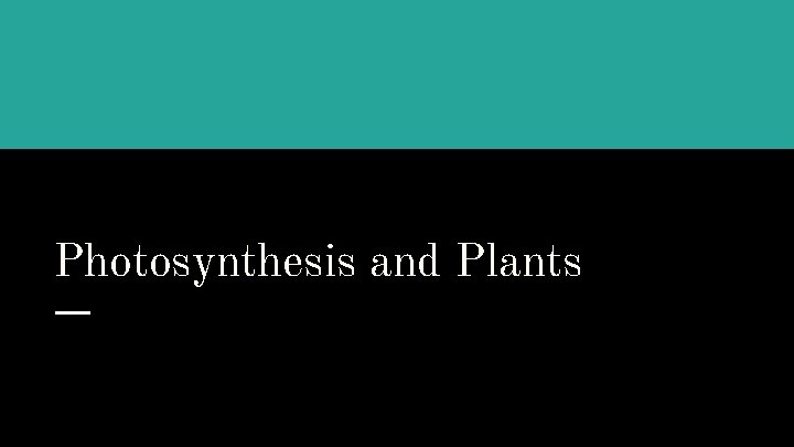 Photosynthesis and Plants 