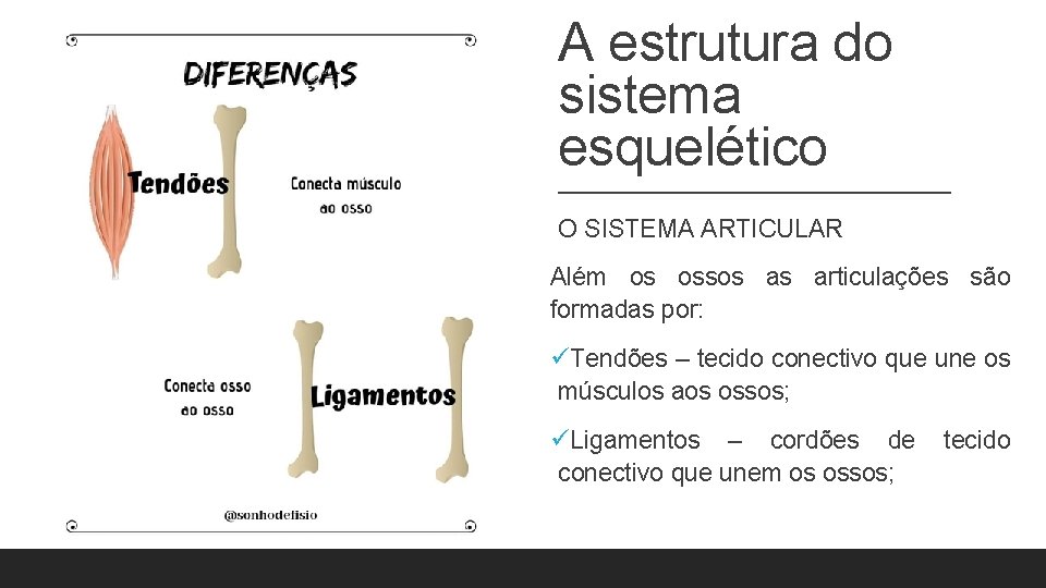 A estrutura do sistema esquelético O SISTEMA ARTICULAR Além os ossos as articulações são A estrutura do sistema esquelético O SISTEMA ARTICULAR Além os ossos as articulações são