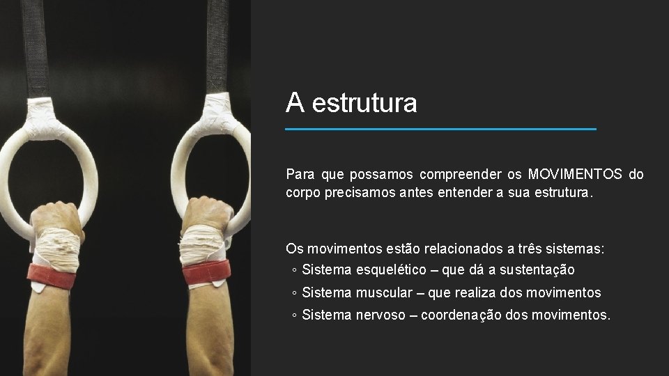 A estrutura Para que possamos compreender os MOVIMENTOS do corpo precisamos antes entender a A estrutura Para que possamos compreender os MOVIMENTOS do corpo precisamos antes entender a
