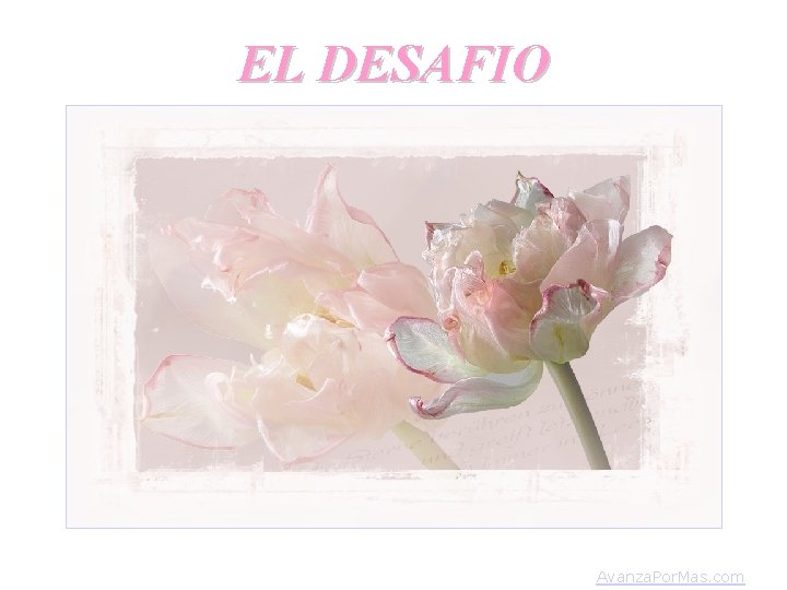 EL DESAFIO Avanza. Por. Mas. com 