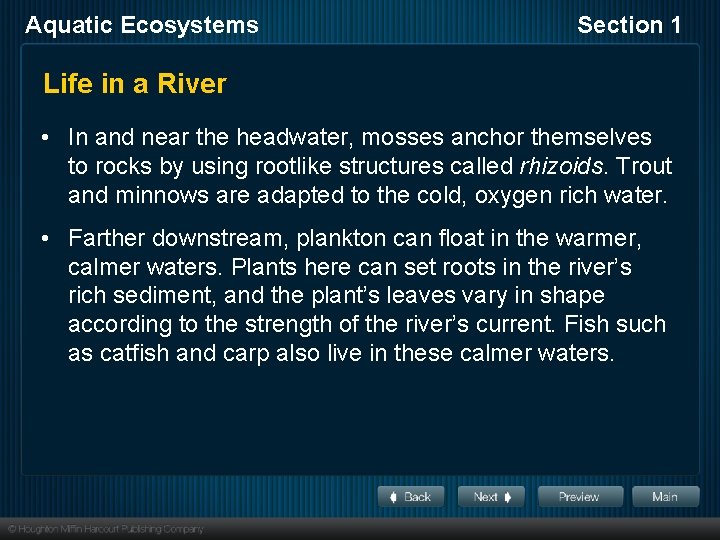 Aquatic Ecosystems Section 1 Life in a River • In and near the headwater,