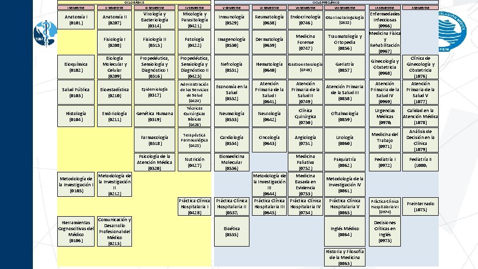 CICLO BÁSICO I SEMESTRE II SEMESTRE CICLO PRECLÍNICO III SEMESTRE Virología y Anatomía I