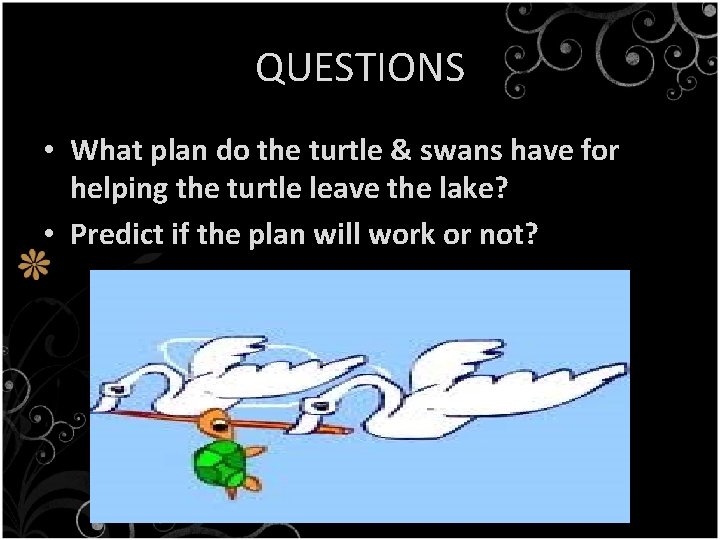 QUESTIONS • What plan do the turtle & swans have for helping the turtle