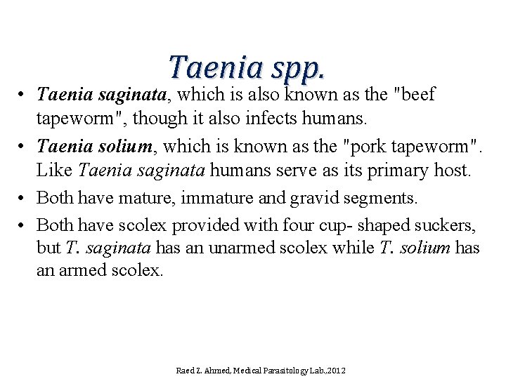 Taenia spp. • Taenia saginata, which is also known as the "beef tapeworm", though