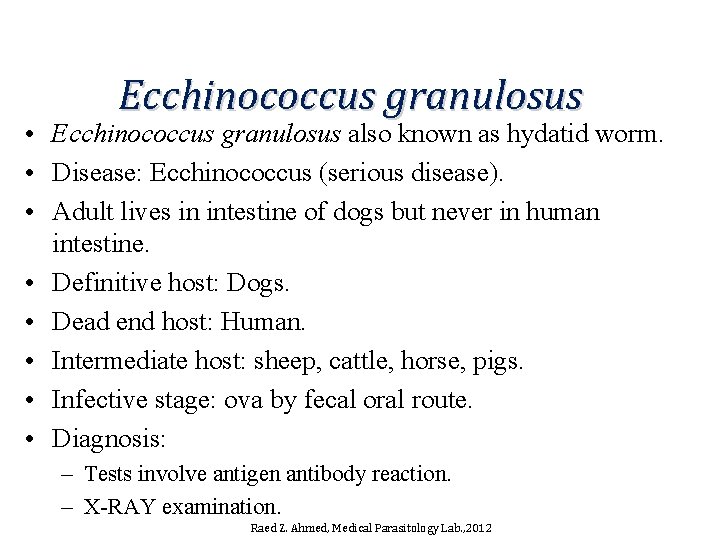 Ecchinococcus granulosus • Ecchinococcus granulosus also known as hydatid worm. • Disease: Ecchinococcus (serious